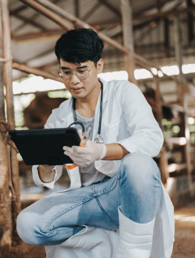 Healthcare Software